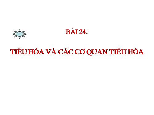 Bài 24. Tiêu hóa và các cơ quan tiêu hóa