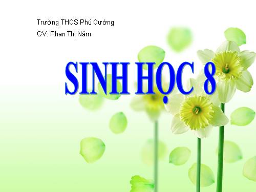 Bài 11. Tiến hóa của hệ vận động. Vệ sinh hệ vận động