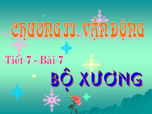 Bài 7. Bộ xương