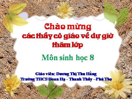 Bài 17. Tim và mạch máu