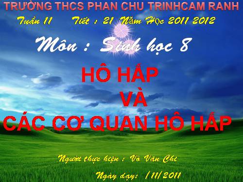 Bài 20. Hô hấp và các cơ quan hô hấp