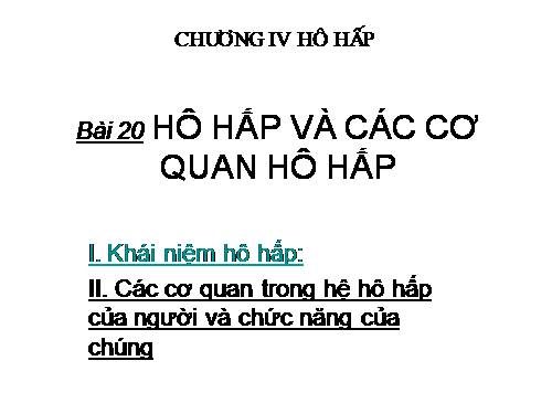 Bài 20. Hô hấp và các cơ quan hô hấp