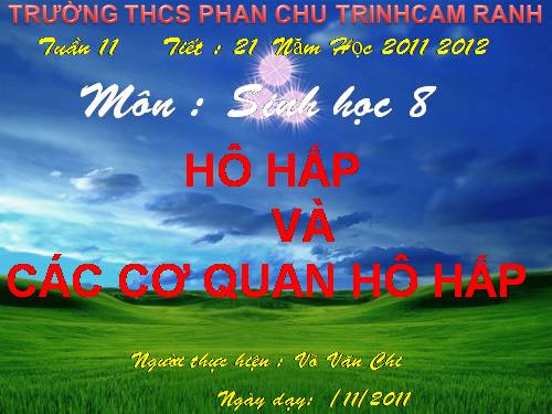 Bài 20. Hô hấp và các cơ quan hô hấp