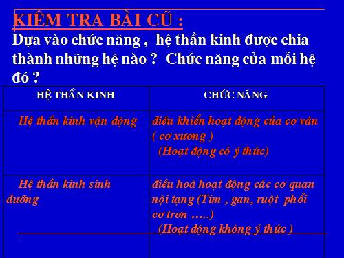 Bài 48. Hệ thần kinh sinh dưỡng