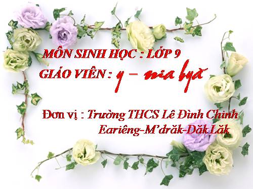 Bài 13. Máu và môi trường trong cơ thể