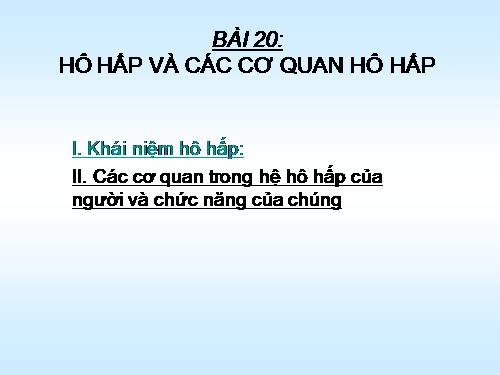 Bài 20. Hô hấp và các cơ quan hô hấp