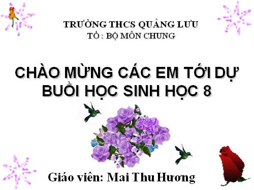 Bài 12. Thực hành: Tập sơ cứu và băng bó cho người gãy xương