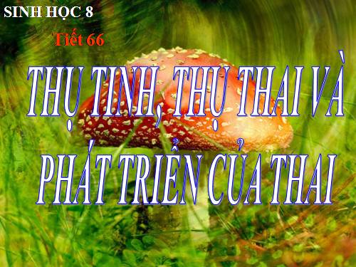 Bài 62. Thụ tinh, thụ thai và phát triển của thai