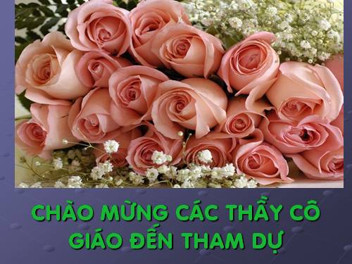 Bài 51. Cơ quan phân tích thính giác