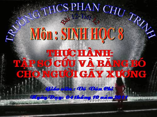 Bài 12. Thực hành: Tập sơ cứu và băng bó cho người gãy xương