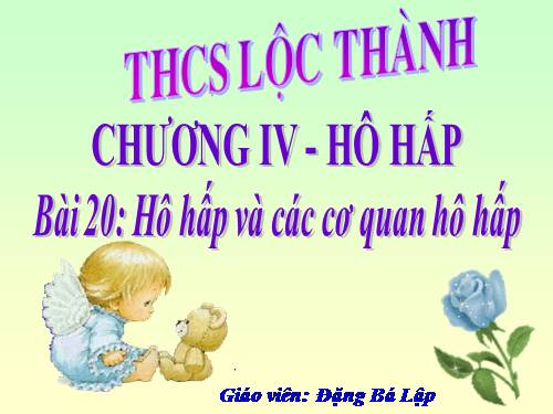 Bài 20. Hô hấp và các cơ quan hô hấp