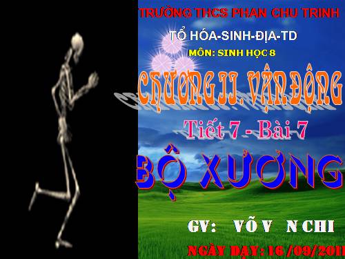 Bài 7. Bộ xương