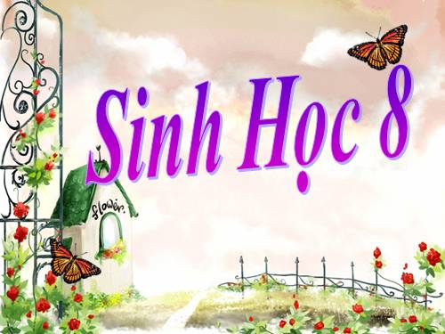 Bài 11. Tiến hóa của hệ vận động. Vệ sinh hệ vận động