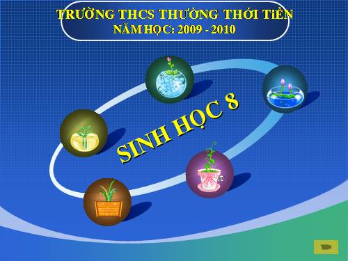 Bài 20. Hô hấp và các cơ quan hô hấp