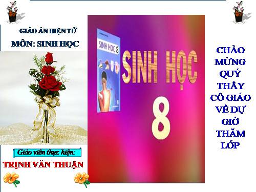 Bài 17. Tim và mạch máu