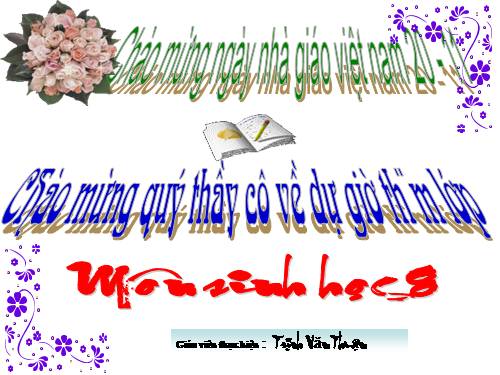 Bài 28. Tiêu hóa ở ruột non