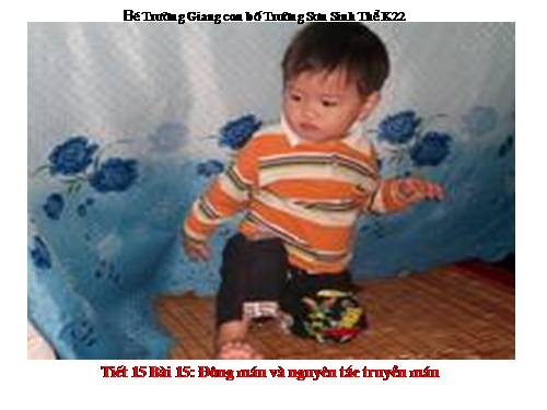 Bài 15. Đông máu và nguyên tắc truyền máu