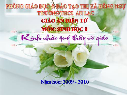 Bài 16. Tuần hoàn máu và lưu thông bạch huyết