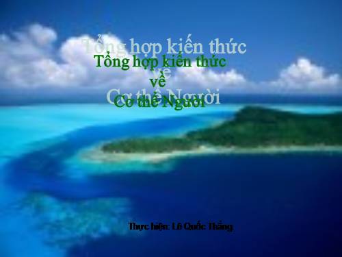 Tổng hợp kiến thức về Cơ thể Người