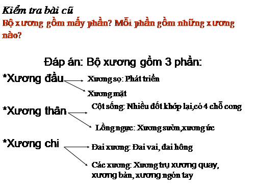 Bài 8. Cấu tạo và tính chất của xương