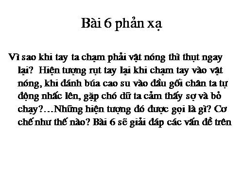 Bài 6. Phản xạ