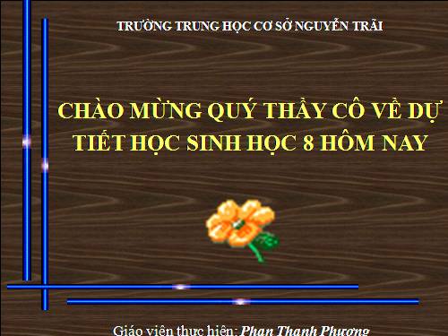 Bài 9. Cấu tạo và tính chất của cơ