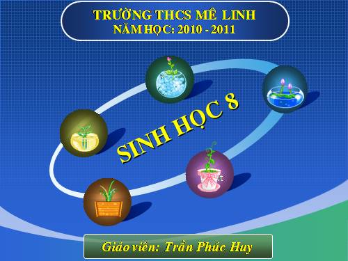Bài 20. Hô hấp và các cơ quan hô hấp