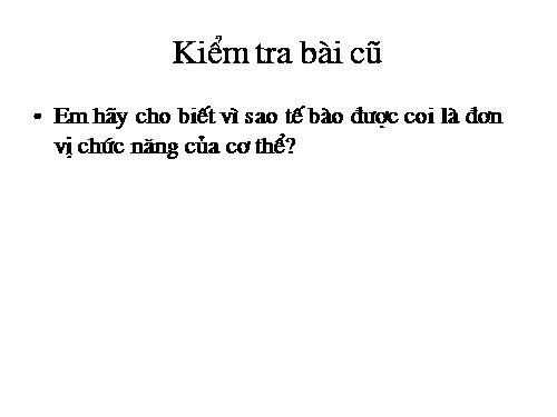 Bài 4. Mô