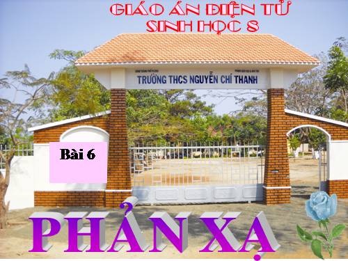 Bài 6. Phản xạ