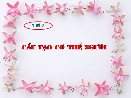 Bài 2. Cấu tạo cơ thể người