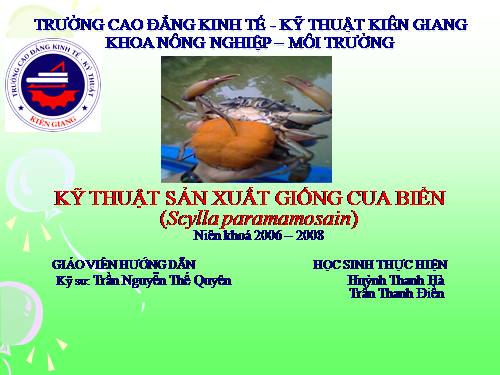 KỸ THUẬT SẢN XUẤT GIỐNG CUA BIỂN