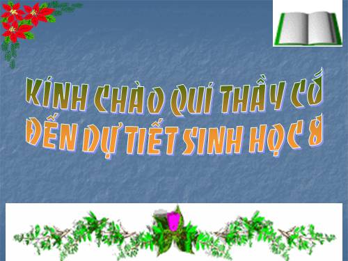Bài 28. Tiêu hóa ở ruột non