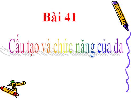 Bài 41. Cấu tạo và chức năng của da