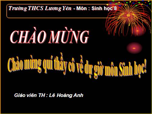 Bài 25. Tiêu hóa ở khoang miệng