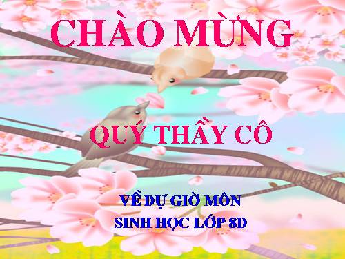 Bài 41. Cấu tạo và chức năng của da