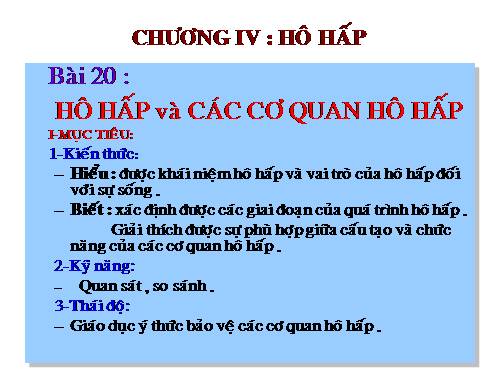 Bài 20. Hô hấp và các cơ quan hô hấp