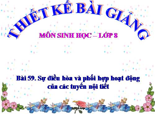 Bài 59. Sự điều hòa và phối hợp hoạt động của các tuyến nội tiết