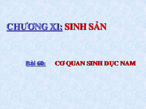 Bài 60. Cơ quan sinh dục nam