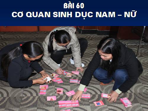 Bài 60. Cơ quan sinh dục nam