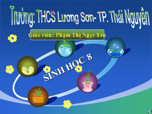 Bài 62. Thụ tinh, thụ thai và phát triển của thai