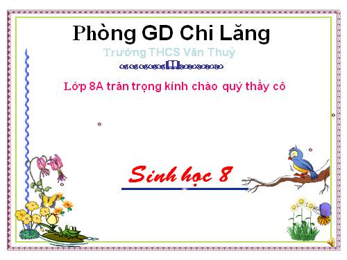 Bài 62. Thụ tinh, thụ thai và phát triển của thai