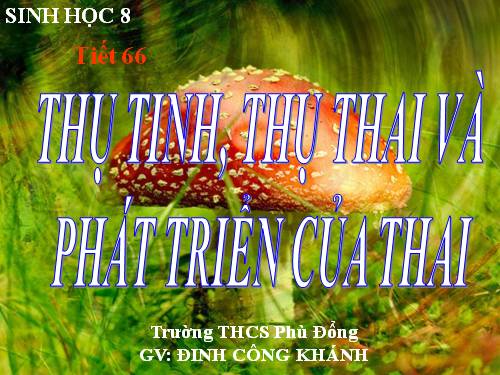 Bài 62. Thụ tinh, thụ thai và phát triển của thai