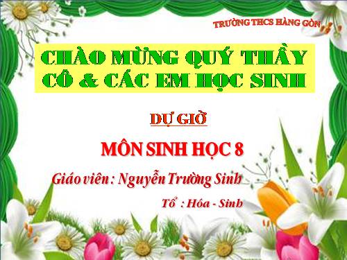 Bài 59. Sự điều hòa và phối hợp hoạt động của các tuyến nội tiết
