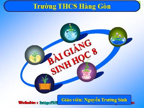 Bài 58. Tuyến sinh dục