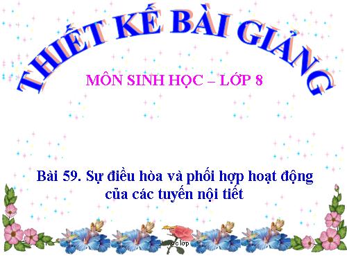 Bài 59. Sự điều hòa và phối hợp hoạt động của các tuyến nội tiết