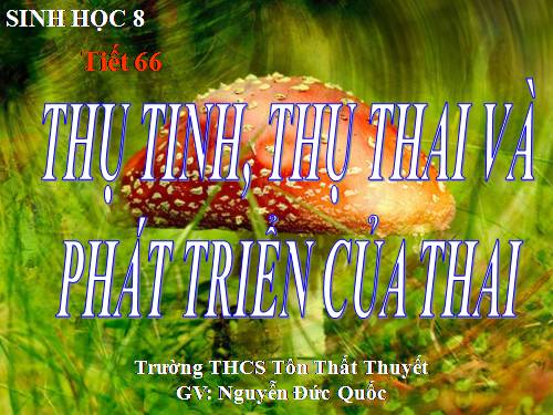 Bài 62. Thụ tinh, thụ thai và phát triển của thai