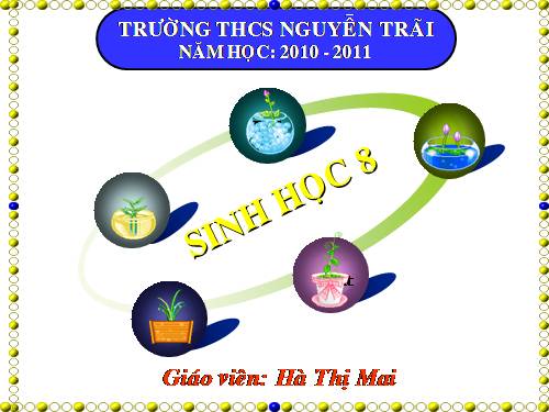 Bài 25. Tiêu hóa ở khoang miệng