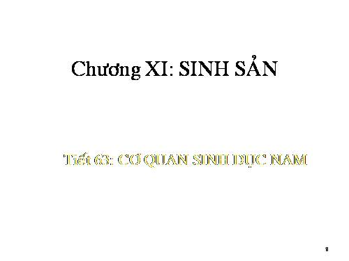 Bài 60. Cơ quan sinh dục nam