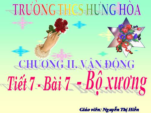 Bài 7. Bộ xương