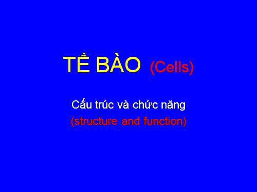 Bài 3. Tế bào